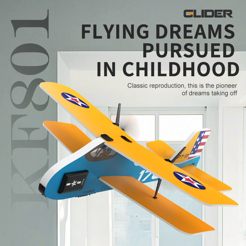 Professional RC Plane 2.4G Rad - đánh giá và giá Kids Toys Under $20
