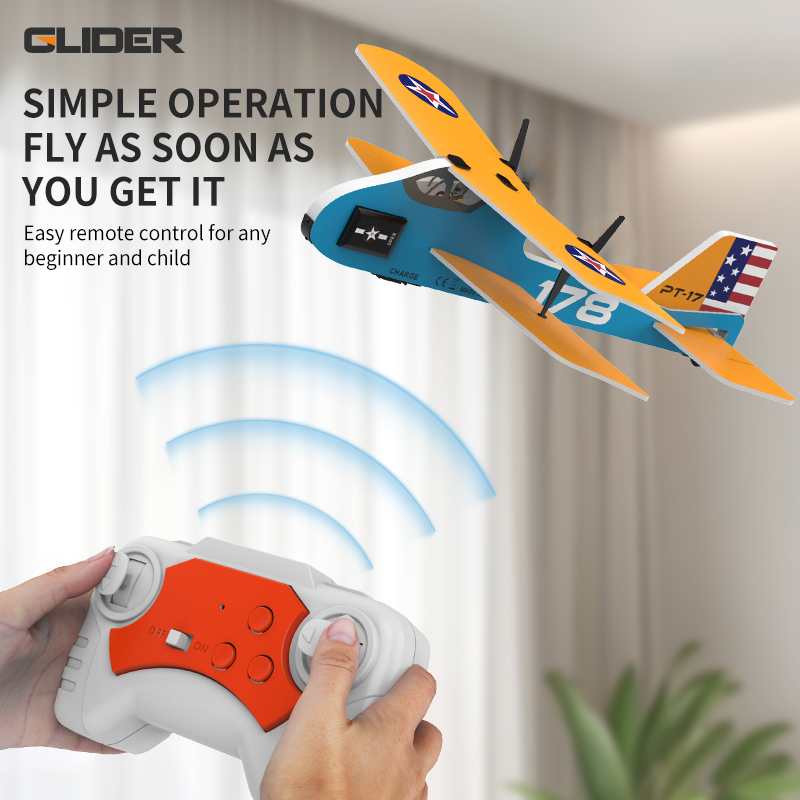 Professional RC Plane 2.4G Rad - đánh giá và giá Kids Toys Under $20