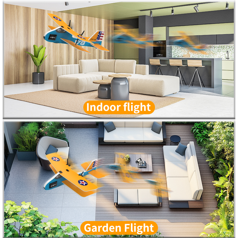 Professional RC Plane 2.4G Rad - đánh giá và giá Kids Toys Under $20
