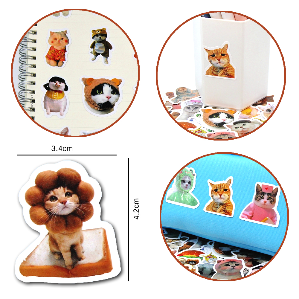 10/50/100pcs Funny Cat Sticker - đánh giá và giá Kids Toys 10 Year Old