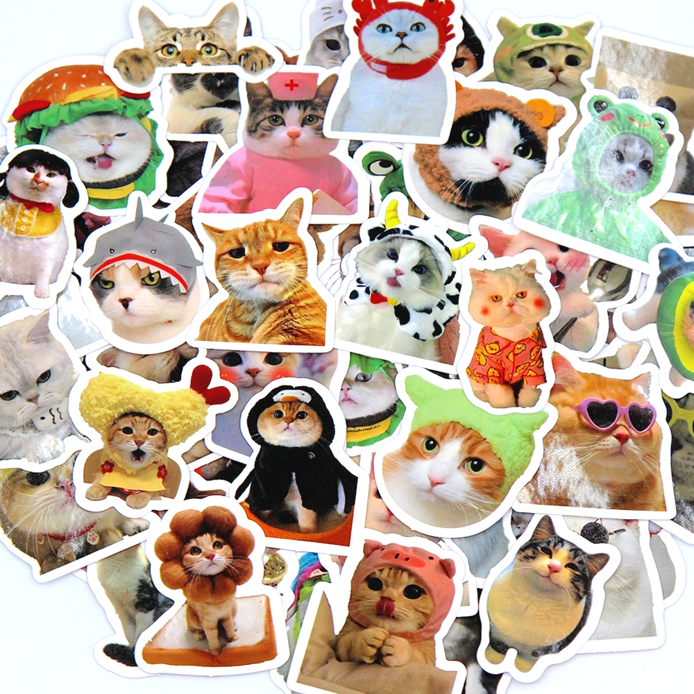 10/50/100pcs Funny Cat Sticker - đánh giá và giá Kids Toys 10 Year Old